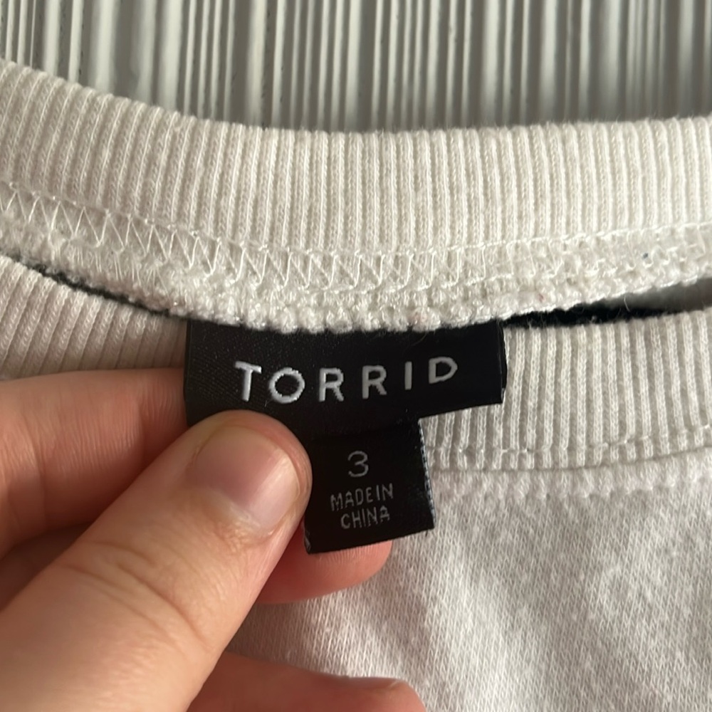 Plus size cozy pink & green Torrid sweatshirt - Picture 3 of 6